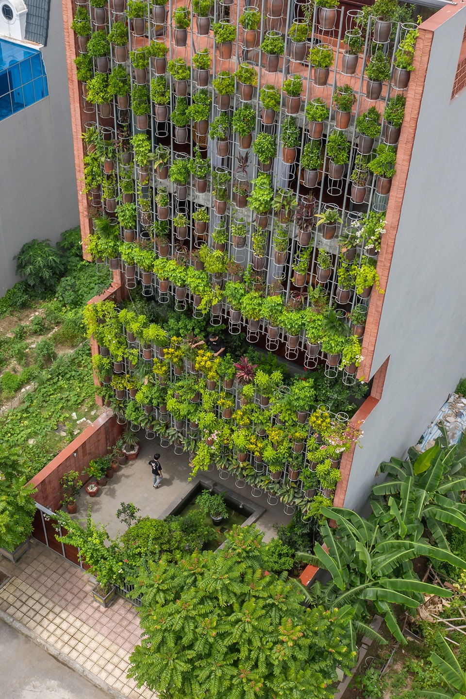 Flying Vegetation