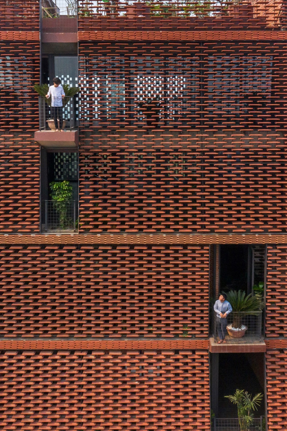 TROPICAL FLOW by HP Architects