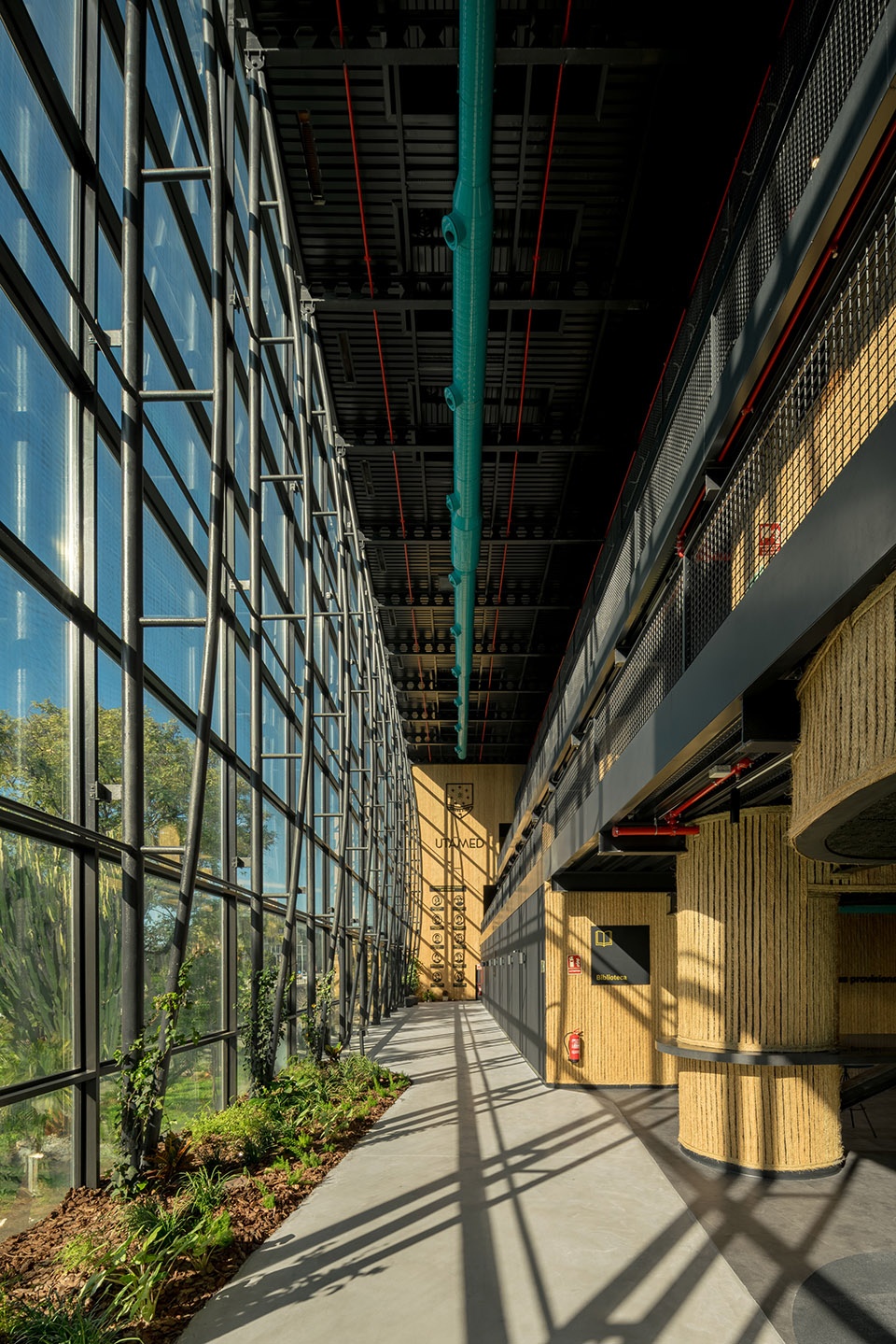 esparto grass and architecture at the new utamed campus by flow 81