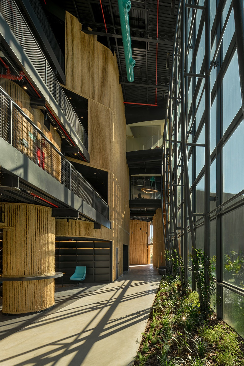 esparto grass and architecture at the new utamed campus by flow 81