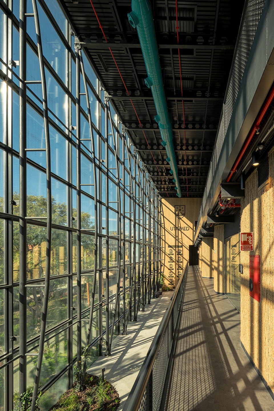 esparto grass and architecture at the new utamed campus by flow 81