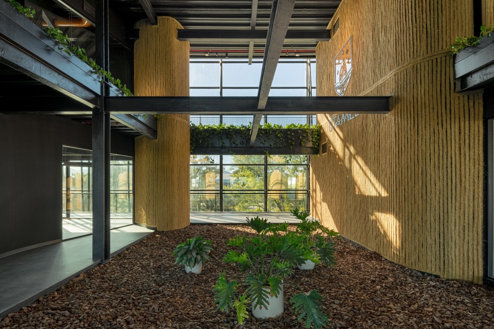 esparto grass and architecture at the new utamed campus by flow 81