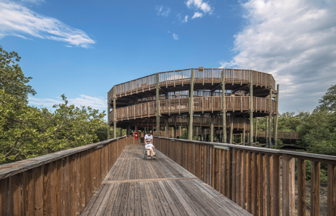 Mallorquín湿地生态公园，哥伦比亚 / DEB Architecture + El Equipo Mazzanti