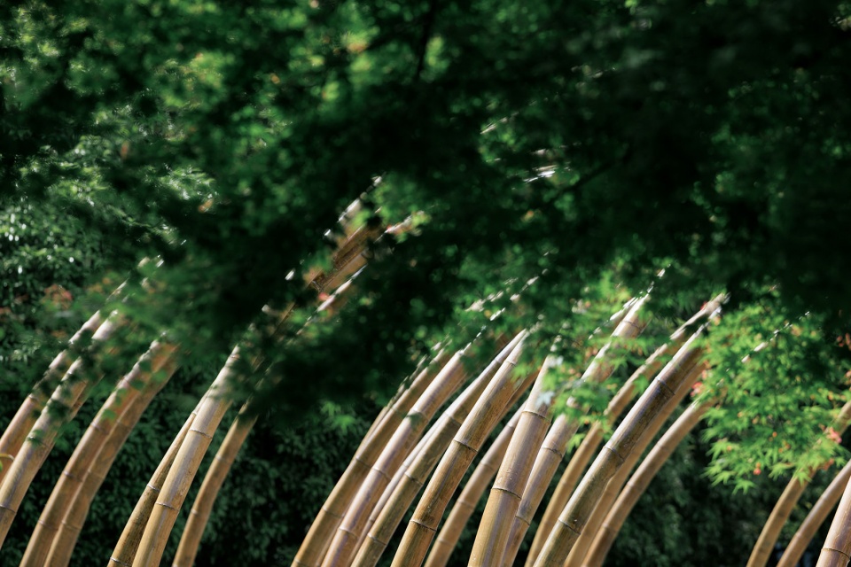 Bent by Spring