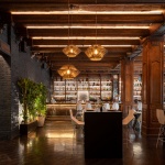 Fónico & Rayo餐厅与酒吧，墨西哥 / FGP Atelier