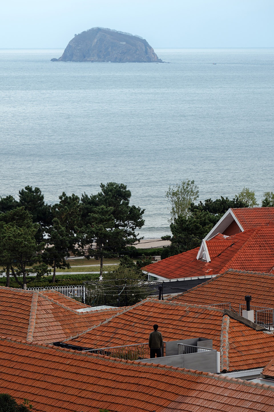 a collection of courtyard renovations in ximaiyao village by bu
