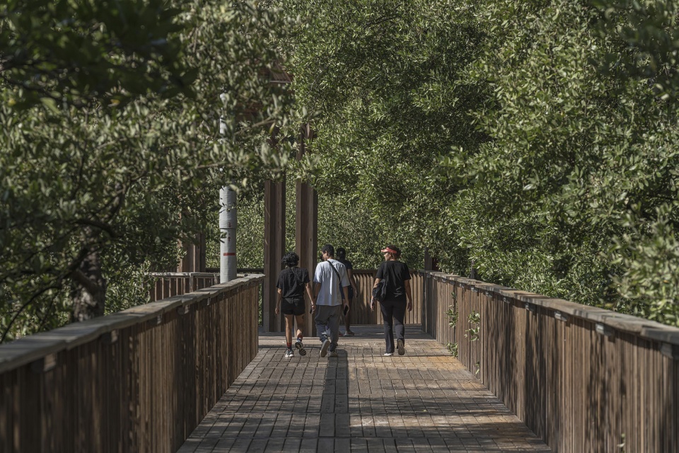 Ciénaga de Mallorquín Ecopark