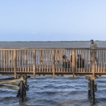 Mallorquín湿地生态公园，哥伦比亚 / DEB Architecture + El Equipo Mazzanti