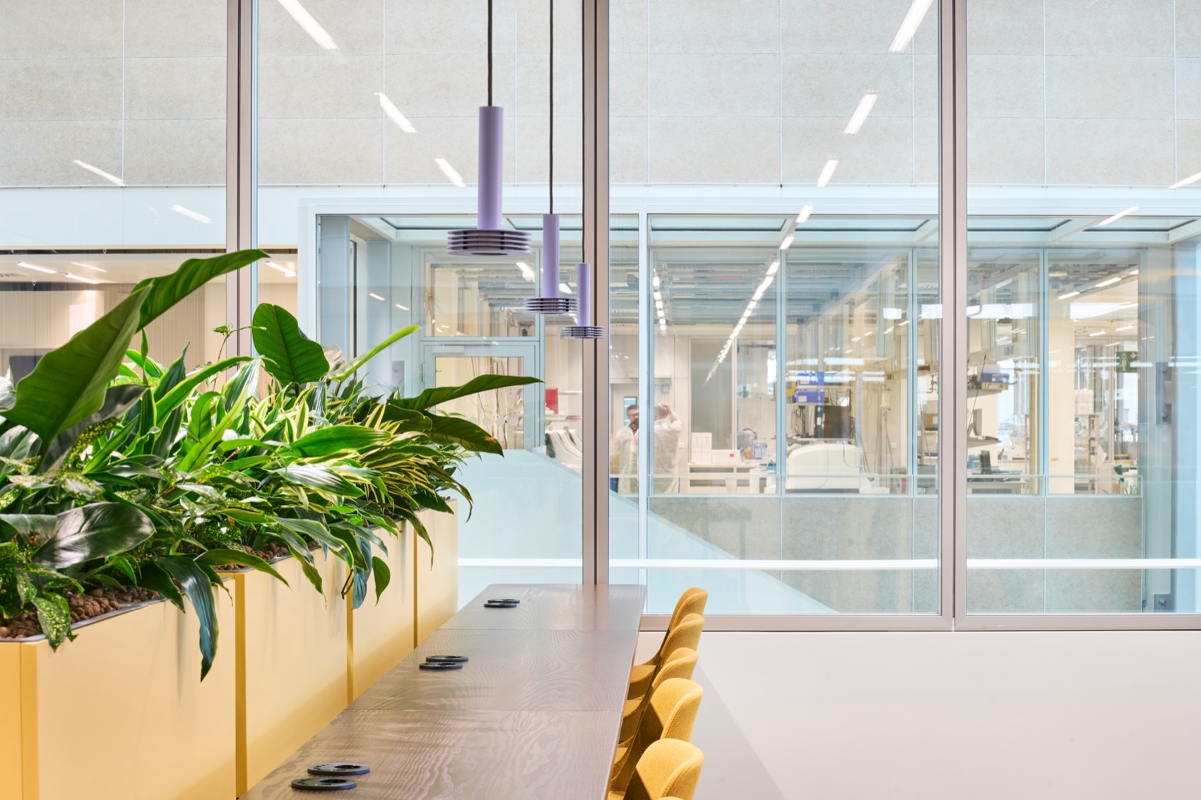 ROCHE DIAGNOSTIC INNOVATION CENTER