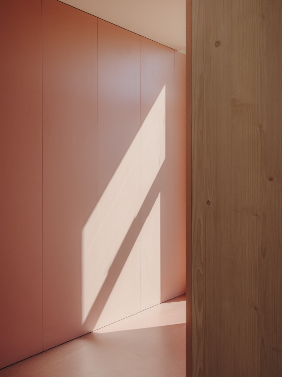 elche neurodevelopment institute phase 1 by arn architects