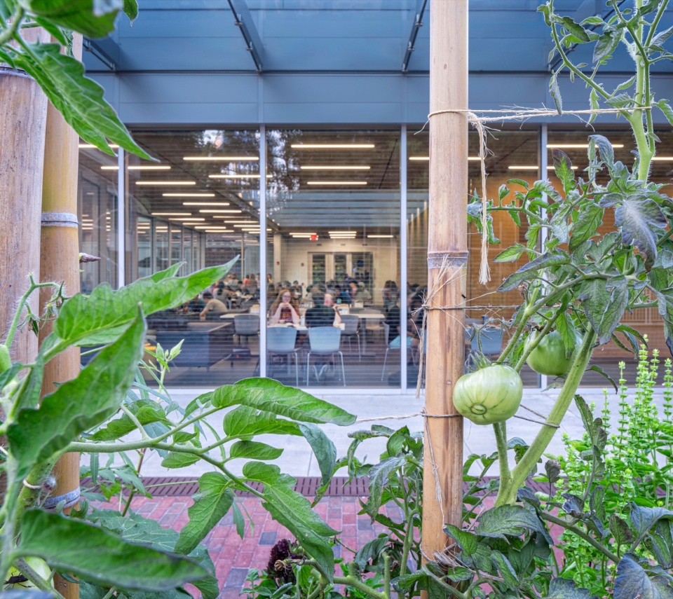 UNC Chapel Hill Chase Dining Hall by Szostak Design