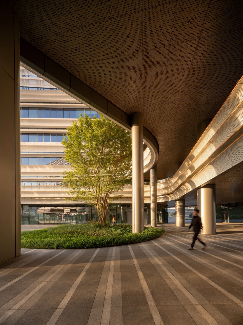 Shenzhen Mingwan School by Perkins Will