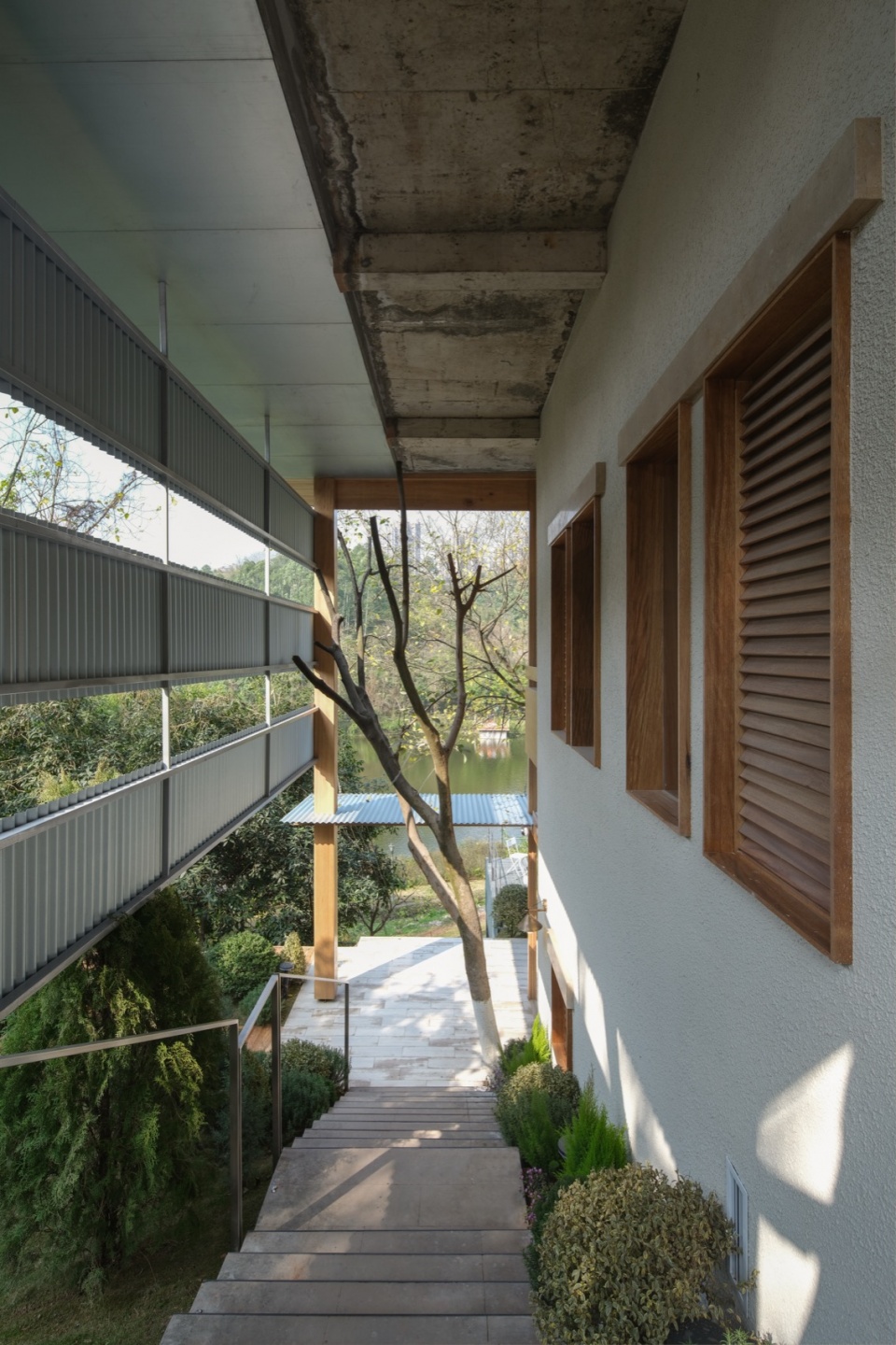 lago by vari architects