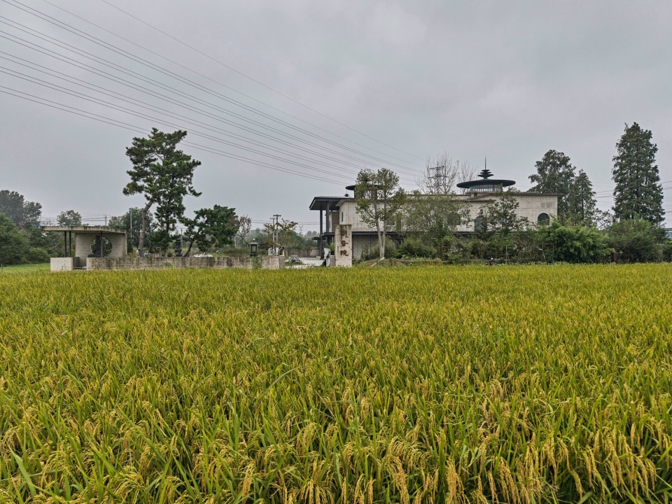 Design of Guanyin Monastery Yangzhou Jiangsu by Shanghai Shanxiang Architectural Design