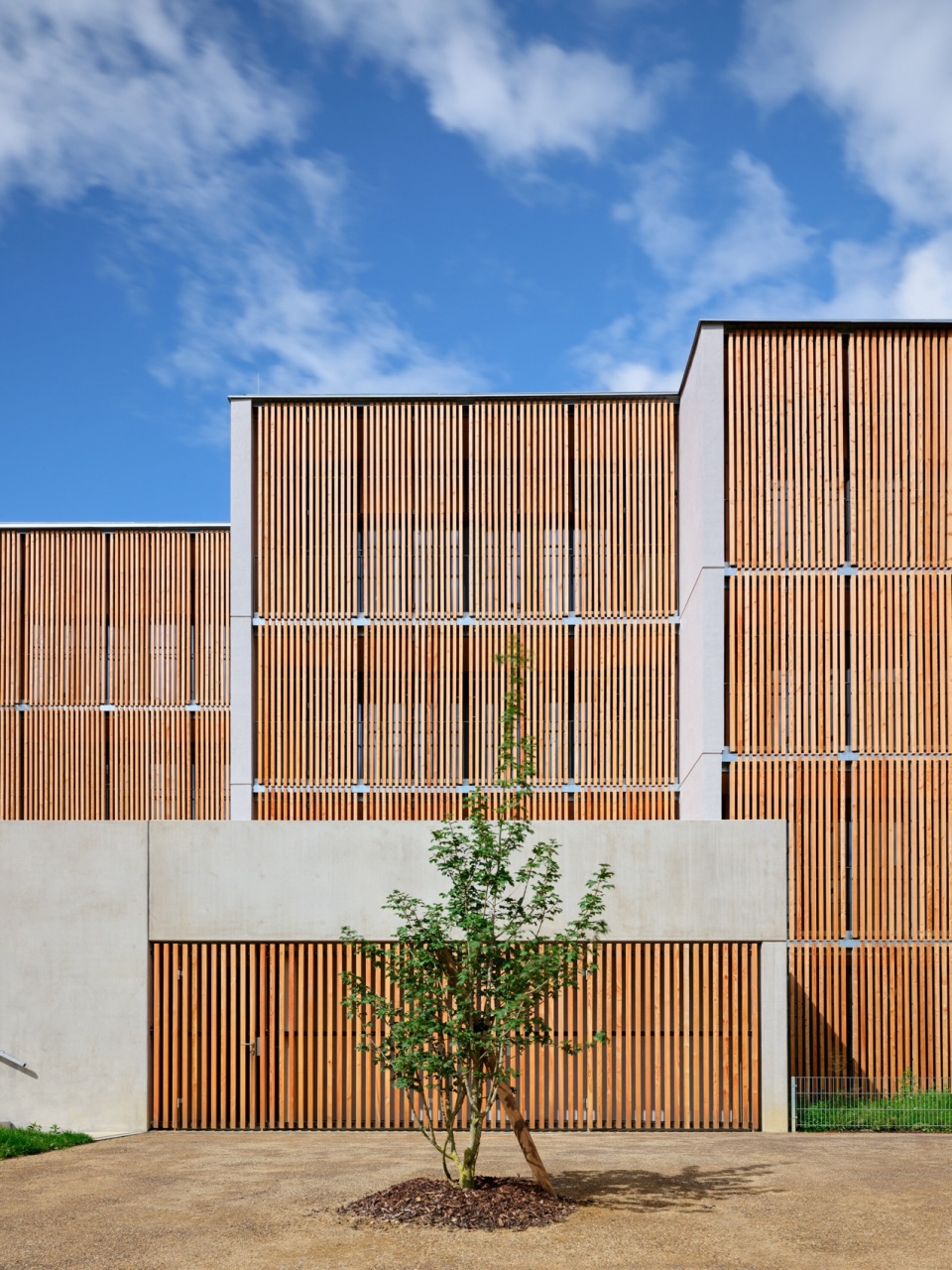 Zdar Wooden Housing