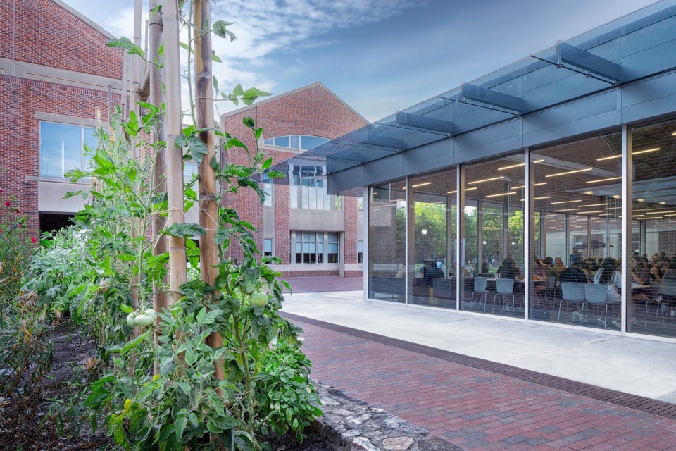 UNC Chapel Hill Chase Dining Hall by Szostak Design