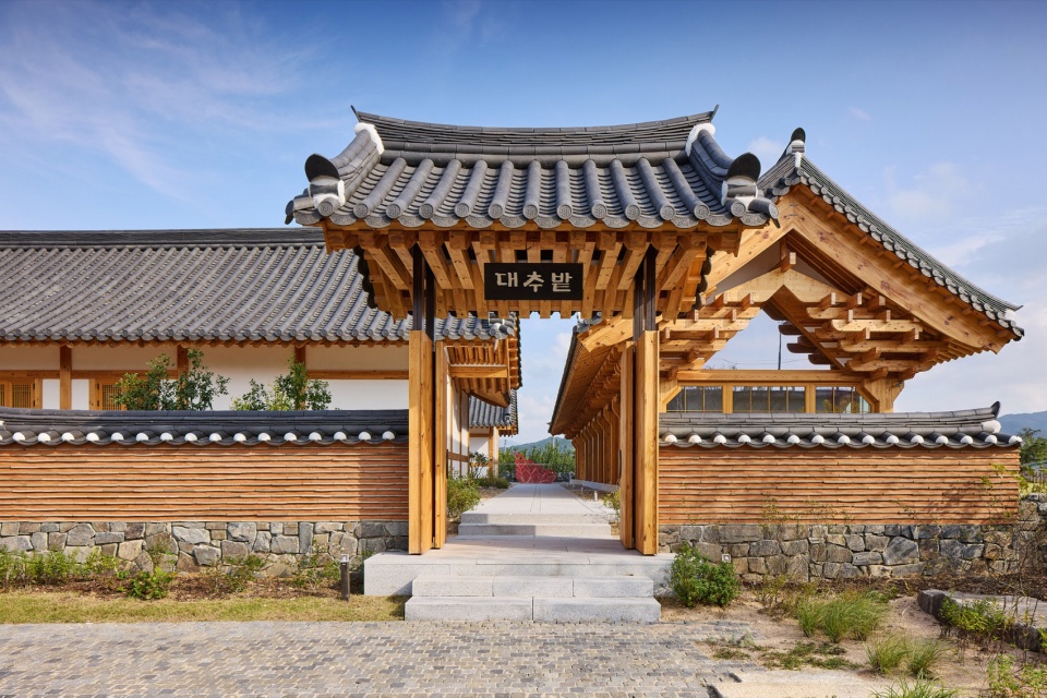 House for Rejuvenation by JK AR 拷贝