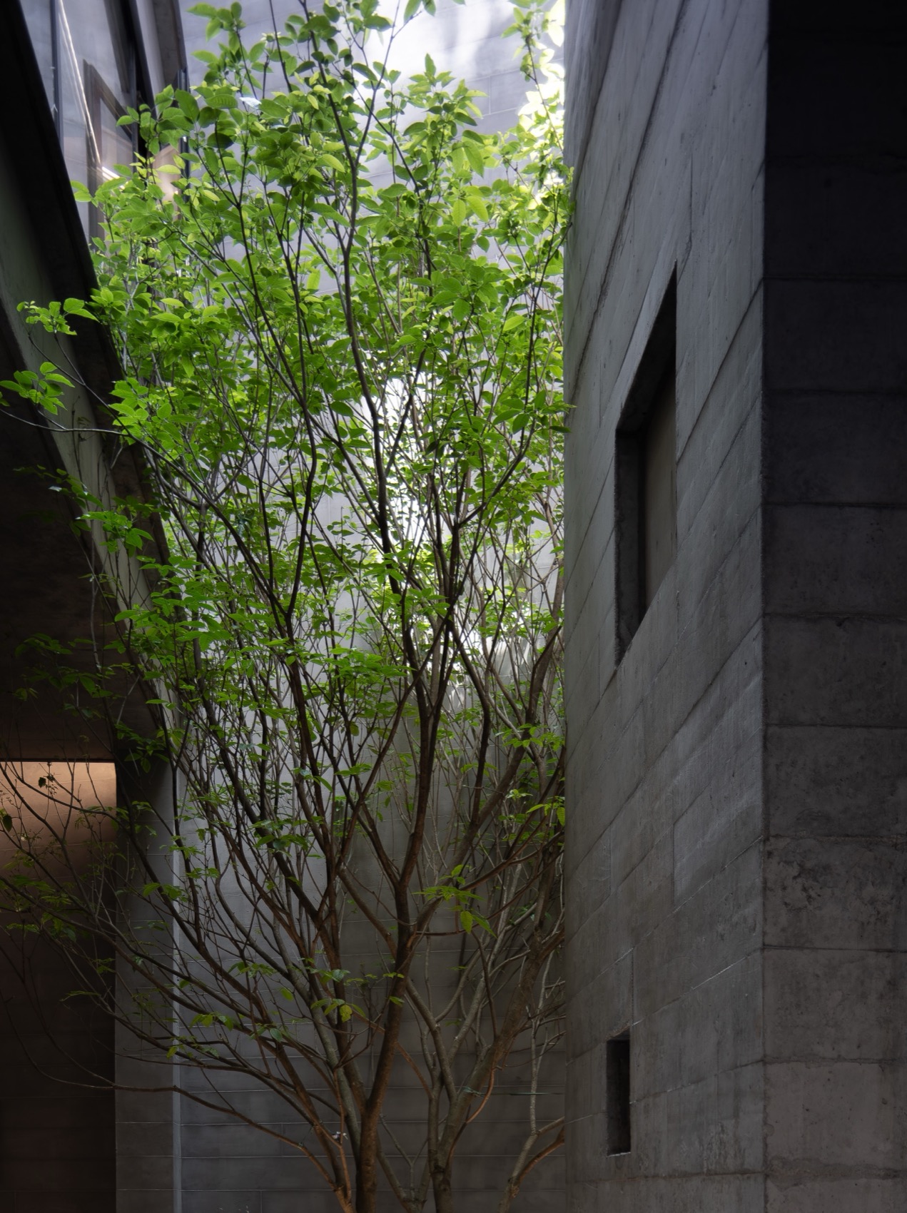 Mr Zhang private house