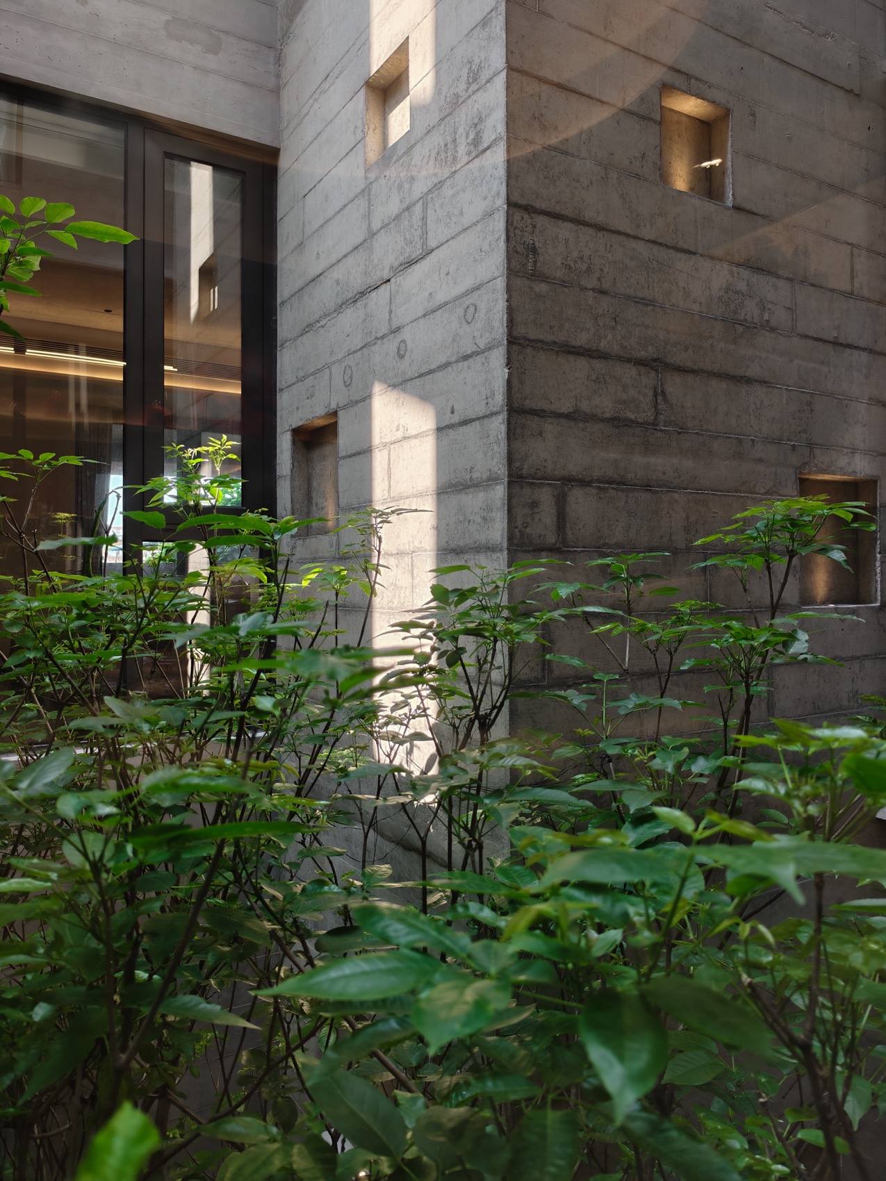 Mr Zhang private house