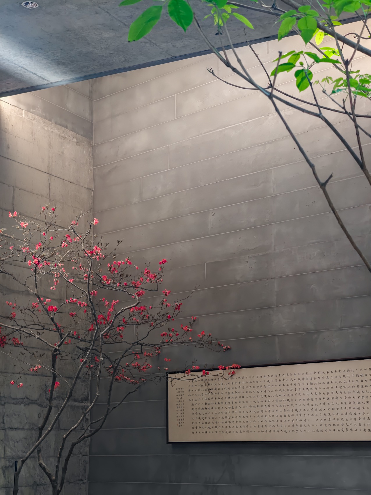 Mr Zhang private house