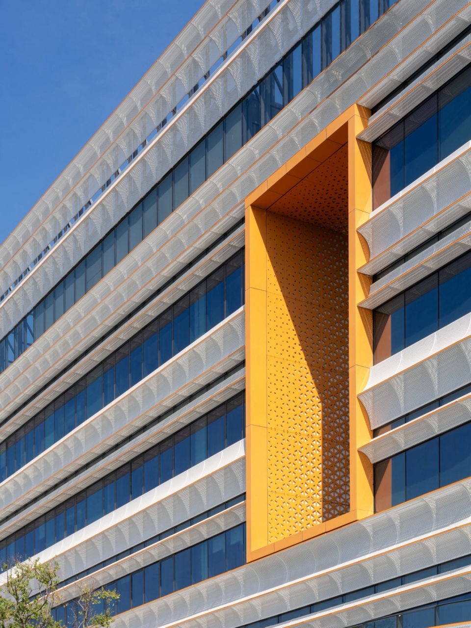 Shenzhen Mingwan School by Perkins Will
