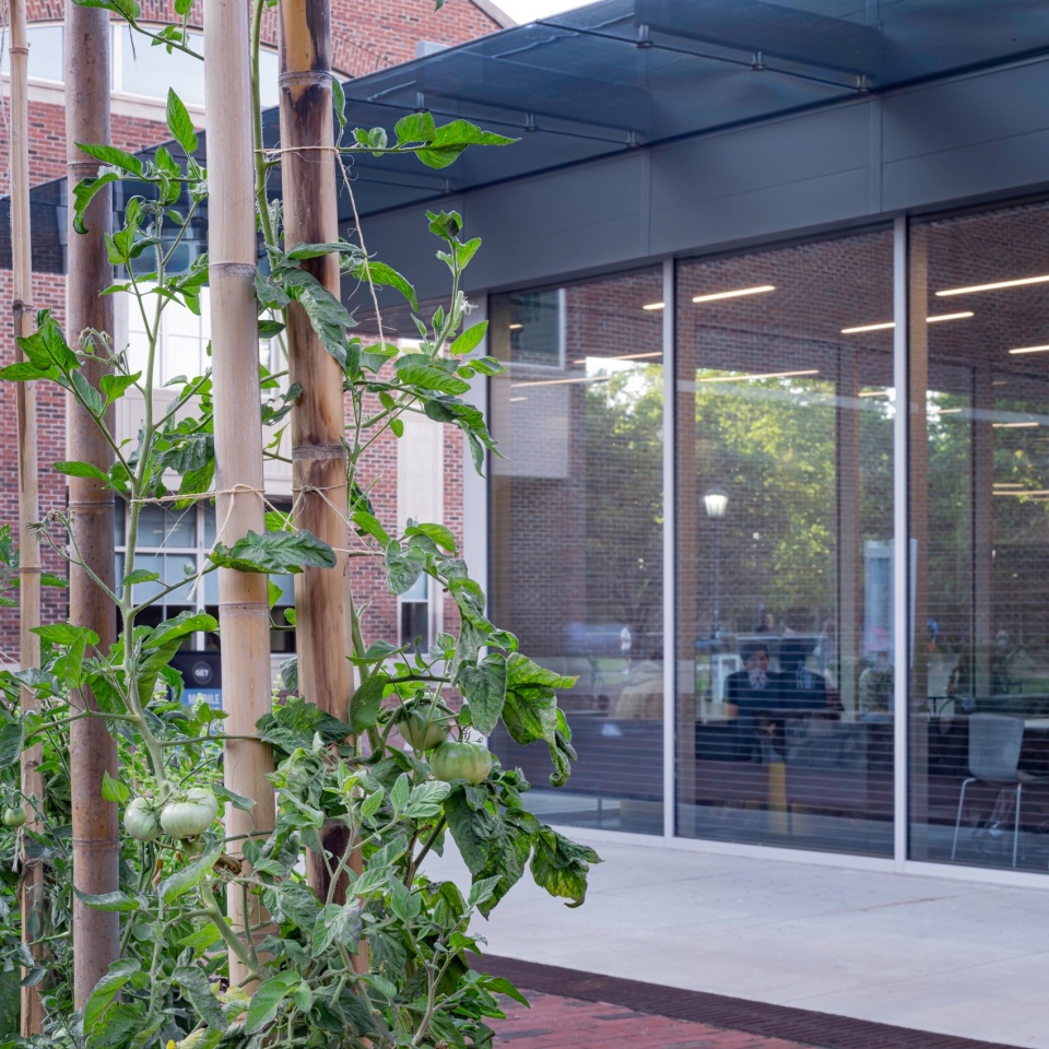UNC Chapel Hill Chase Dining Hall by Szostak Design