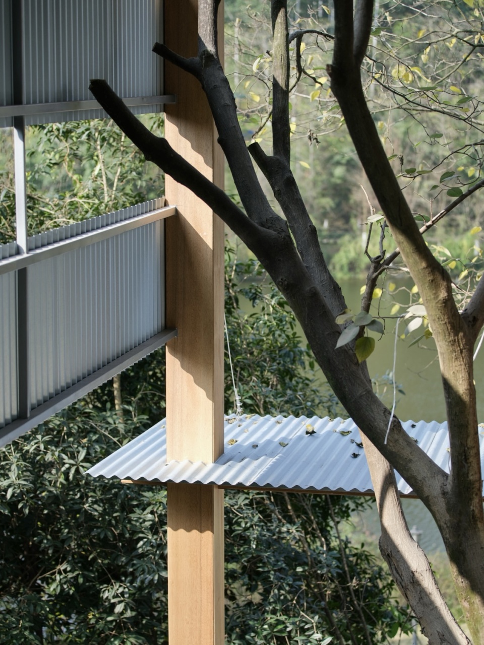 lago by vari architects