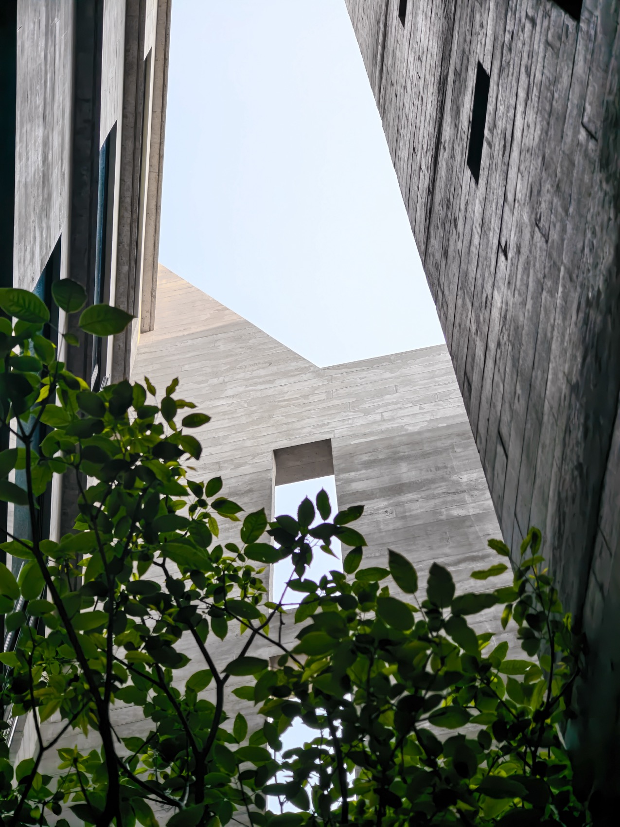 Mr Zhang private house