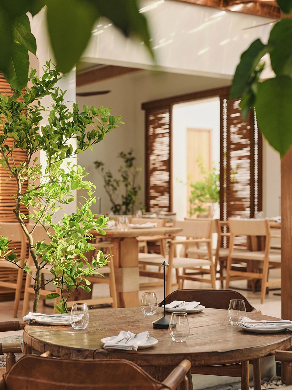 avli restaurant by da bureau