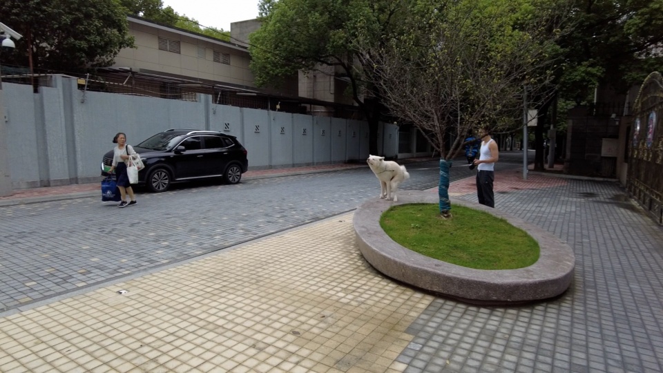 quanzhou road yizhou road promenade greenway activating everyday street life through walking by atelier liu yuyang architects