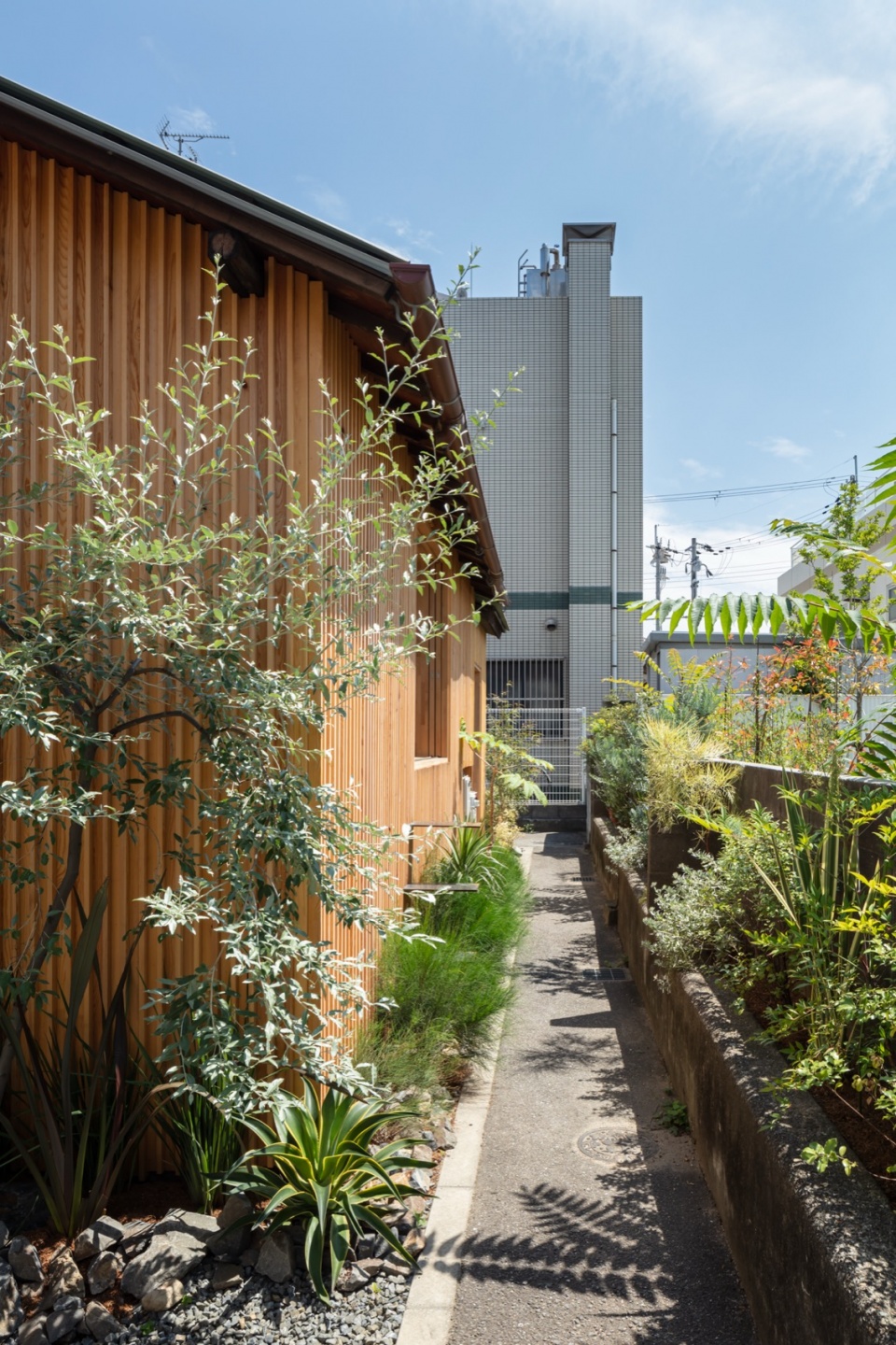 house for gonda by office for environment architecture