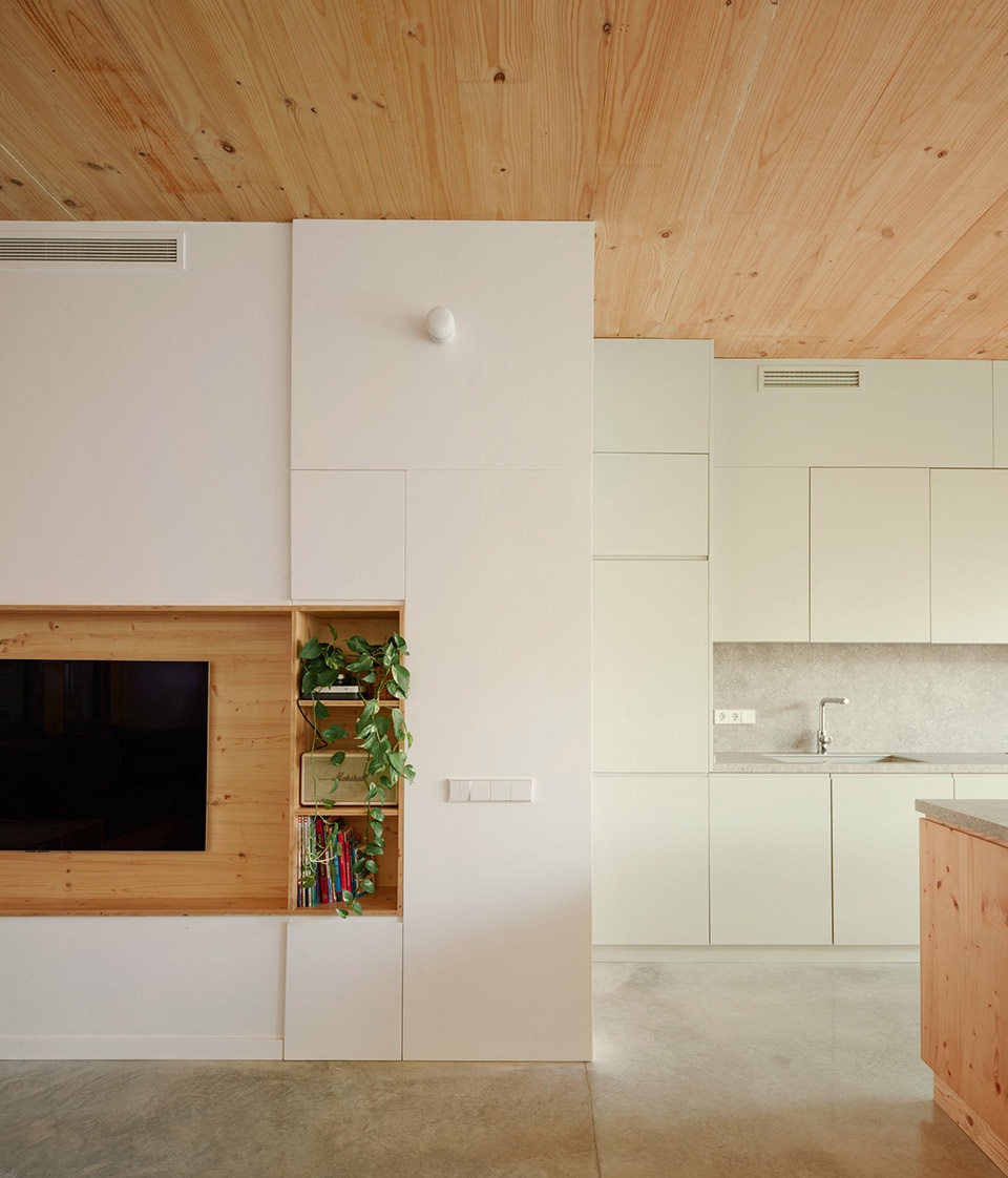 117bof a house to live around a tree by vallribera noray arquitectes