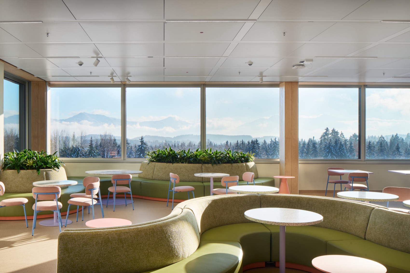 ROCHE DIAGNOSTIC INNOVATION CENTER