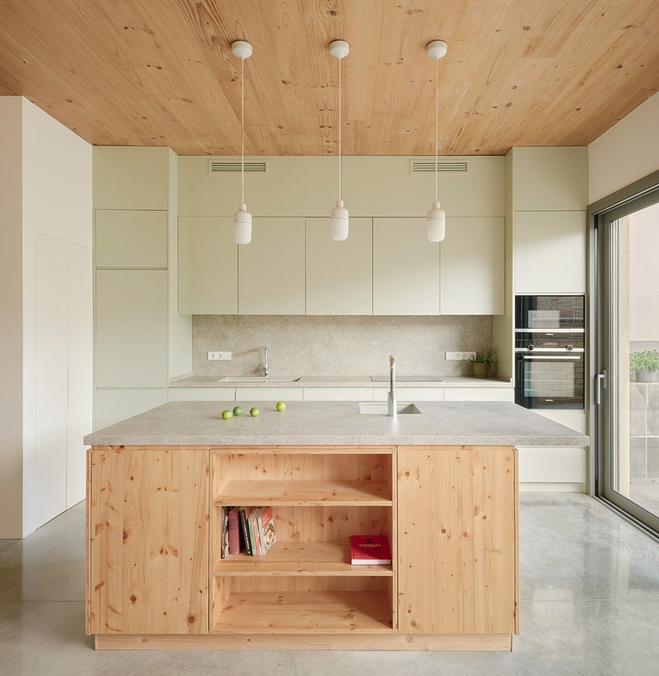 117bof a house to live around a tree by vallribera noray arquitectes