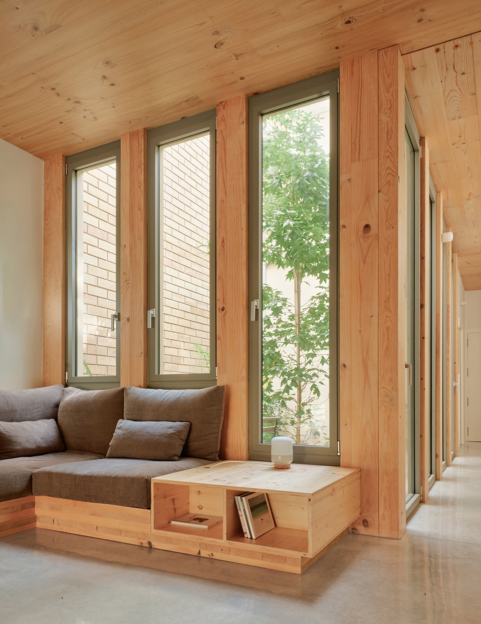 117bof a house to live around a tree by vallribera noray arquitectes