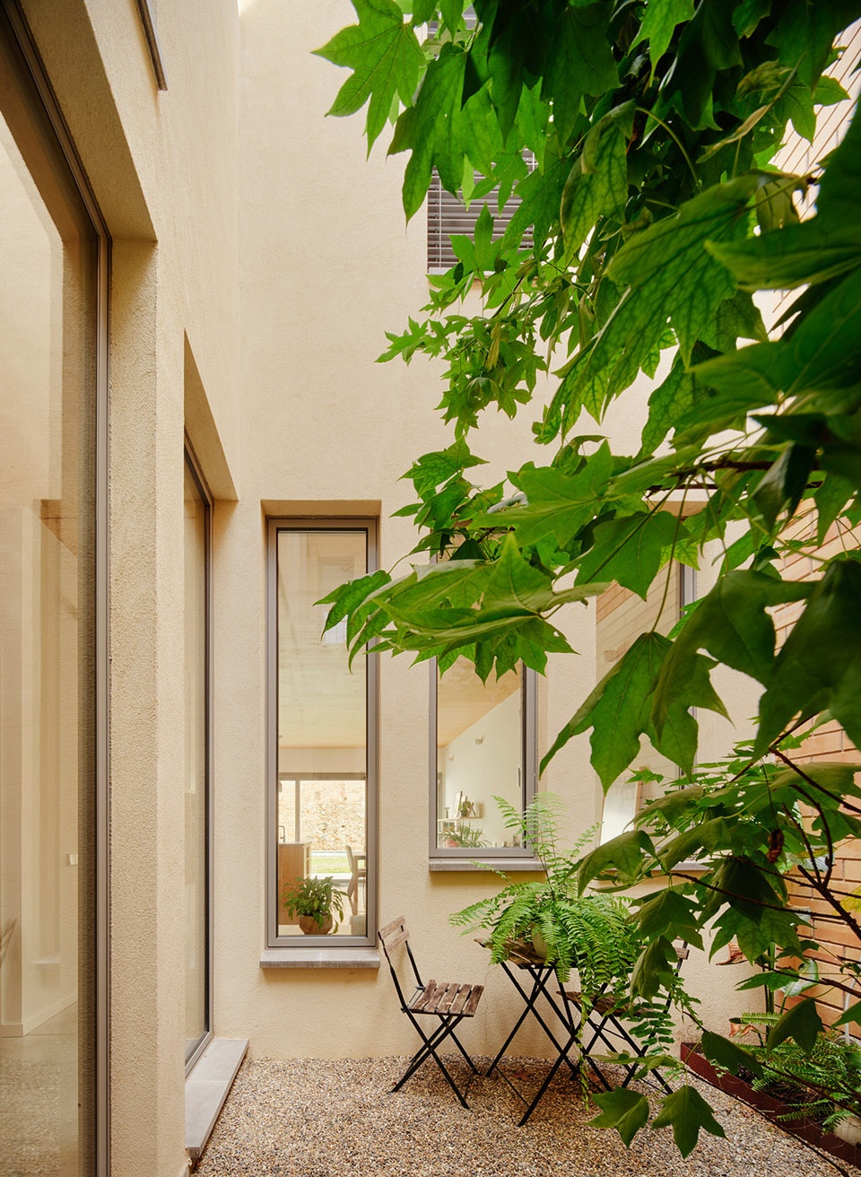 117bof a house to live around a tree by vallribera noray arquitectes