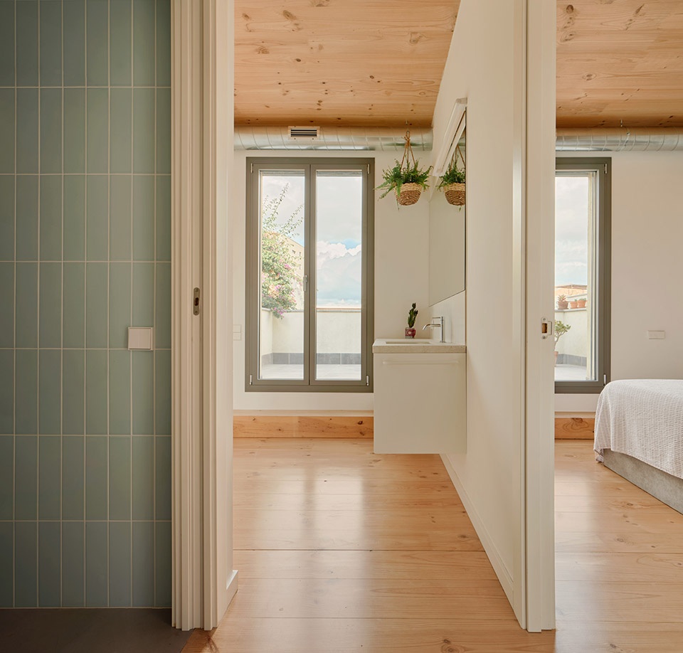 117bof a house to live around a tree by vallribera noray arquitectes