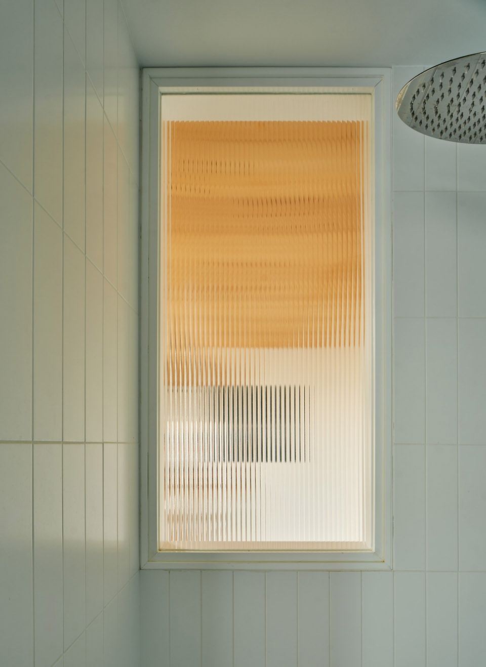 117bof a house to live around a tree by vallribera noray arquitectes