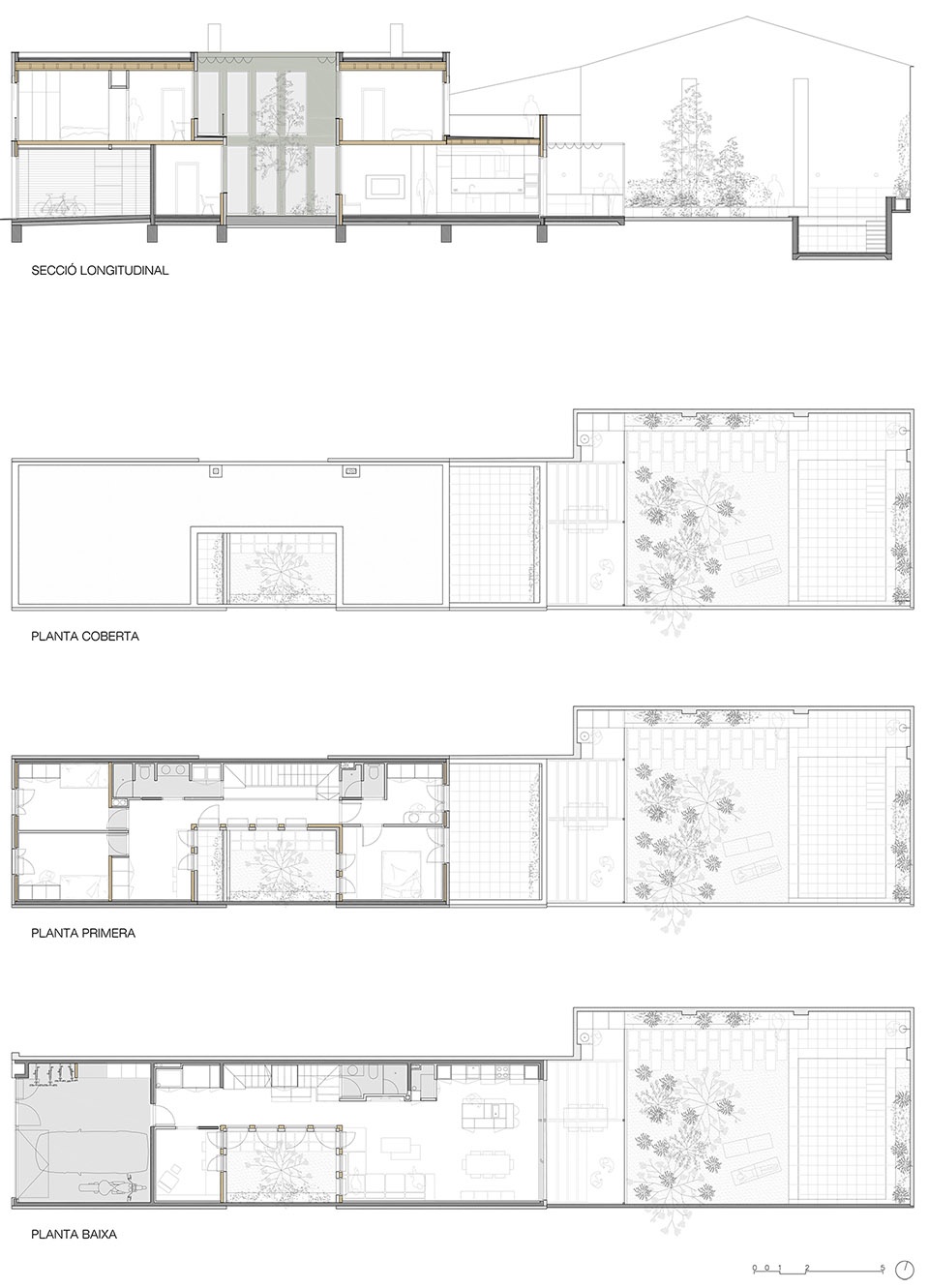 117bof a house to live around a tree by vallribera noray arquitectes