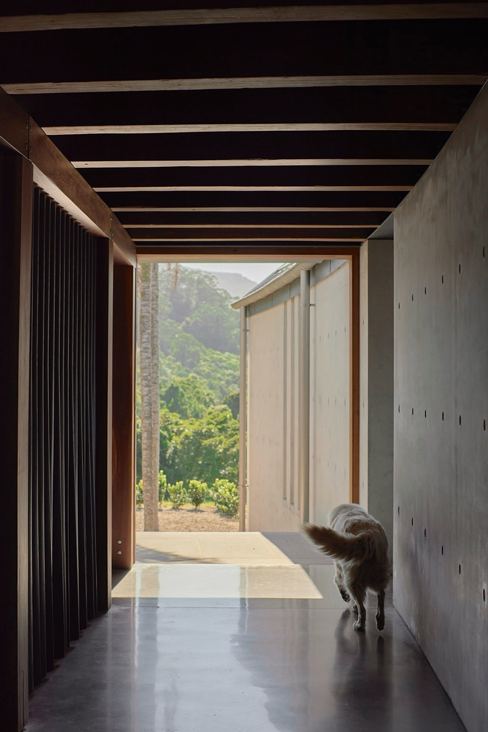Saddleback Mountain House by Casey Brown Architecture