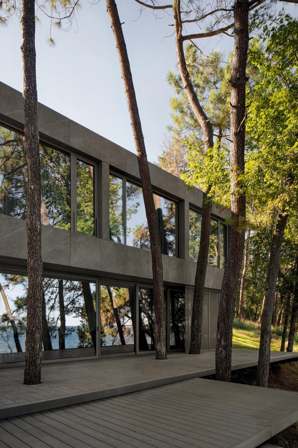 pine house by starh