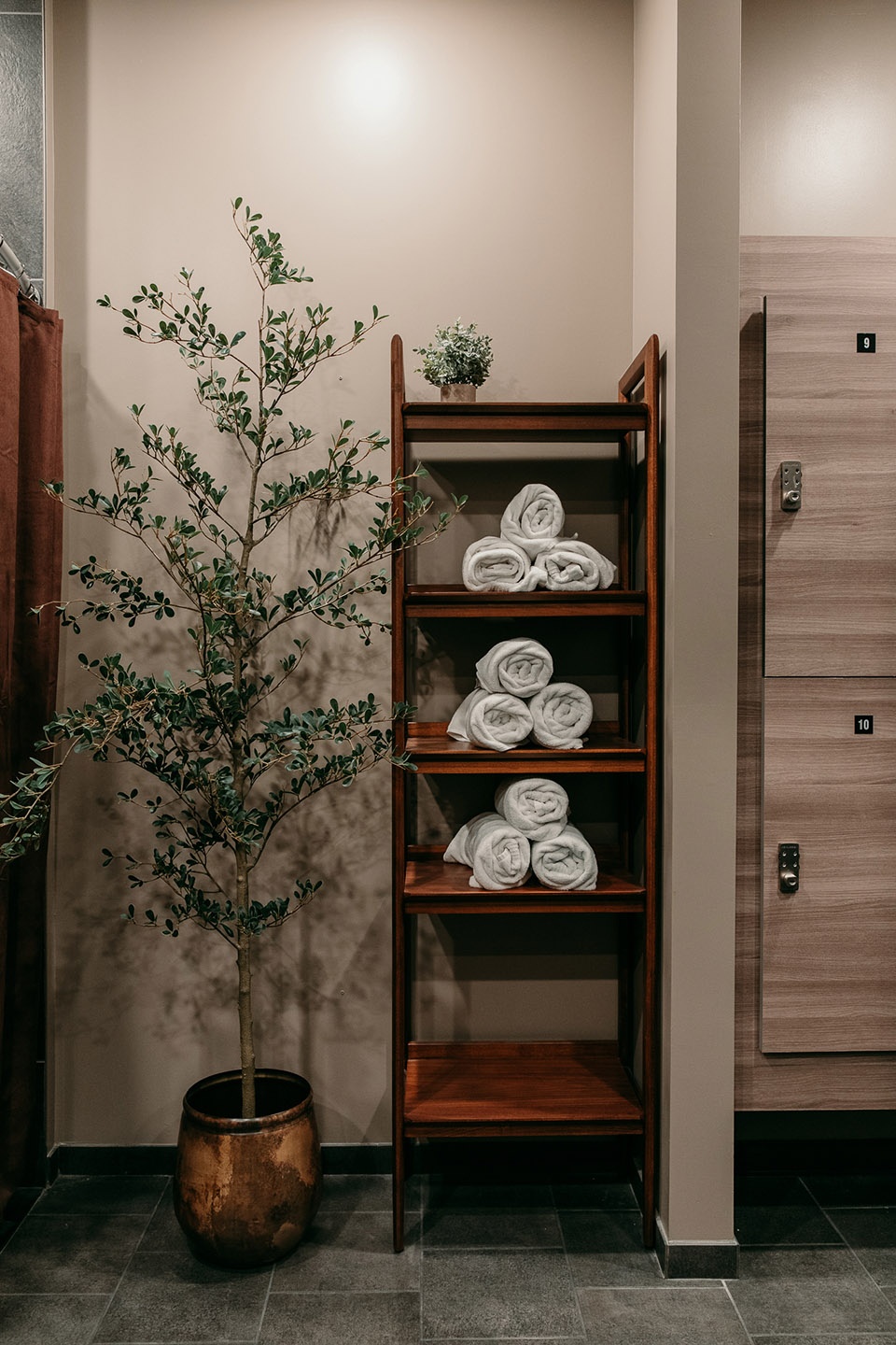 setthetone project by dezirae bruni interiors