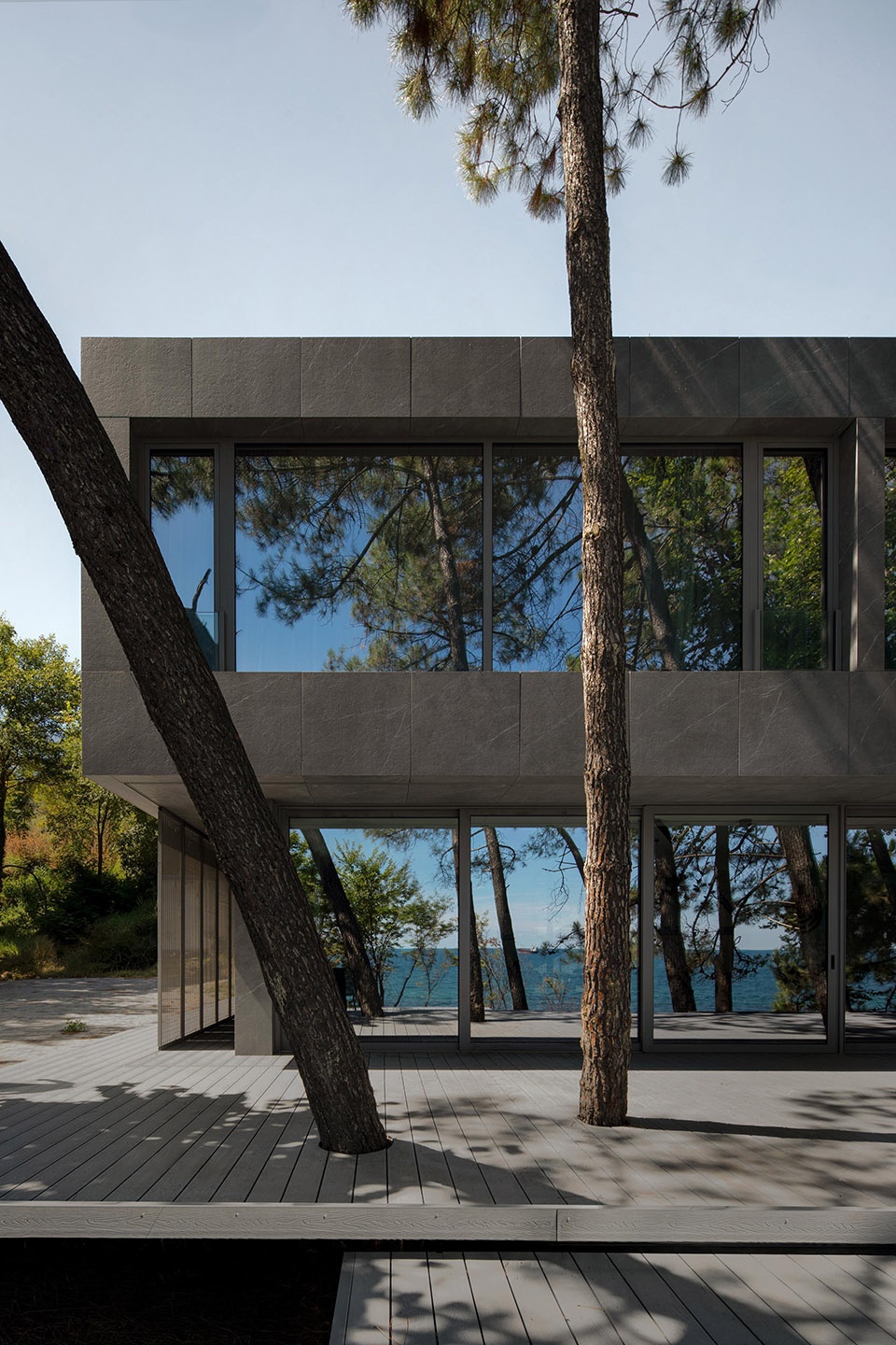 pine house by starh