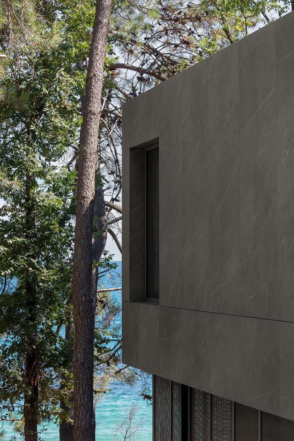 pine house by starh