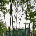 Forest Glamp by Bourgeois / Lechasseur architects