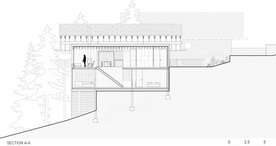 TWIN ALPINE HOUSES