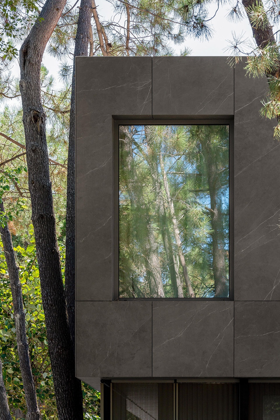pine house by starh