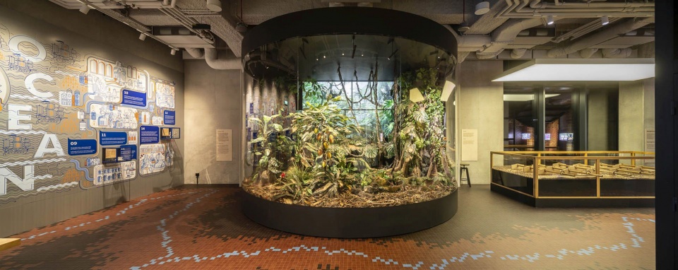 wwaa designs an immersive exhibition inside the e wedel chocolate factory