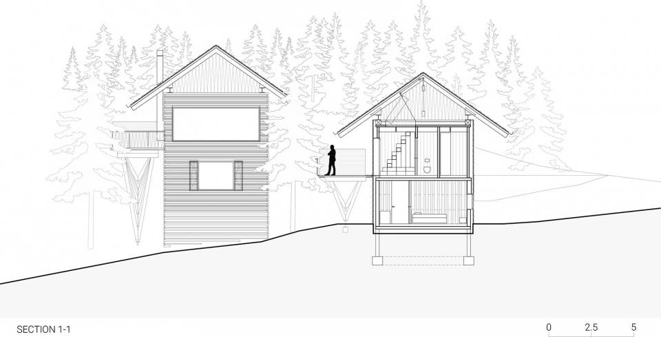 TWIN ALPINE HOUSES
