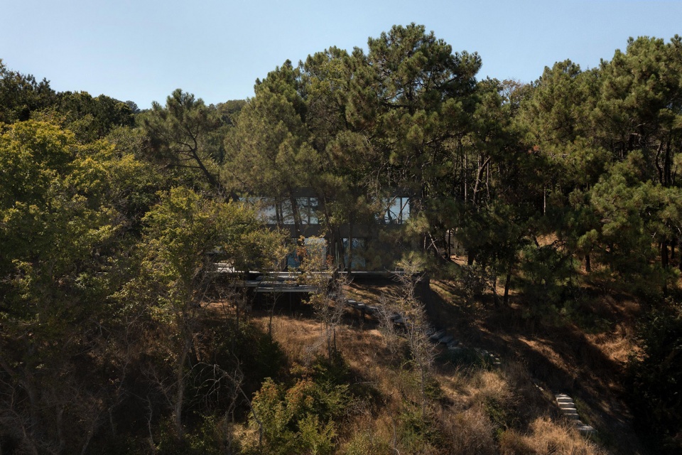 pine house by starh